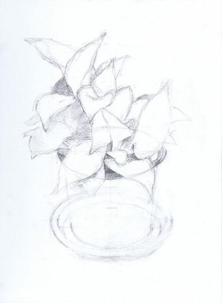 観葉植物-鉛筆デッサン描き方・制作過程3
