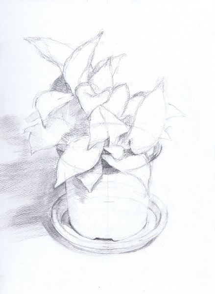 観葉植物の鉛筆デッサン描き方過程4