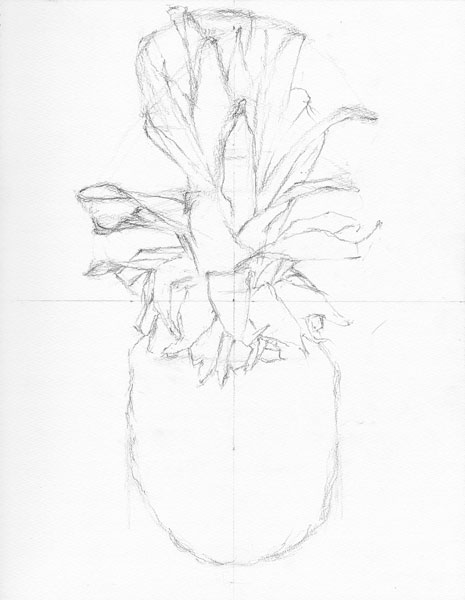 パイナップルの鉛筆デッサン描き方過程2