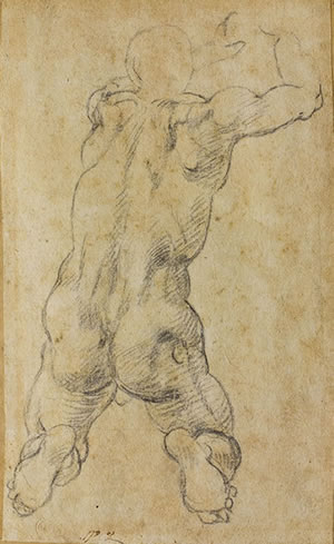 ミケランジェロ・ブオナローティ《背を向けてひざまずく男性裸体像習作》1540年