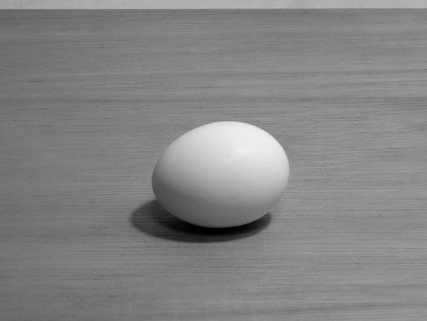 白い卵（デッサンのモチーフ）